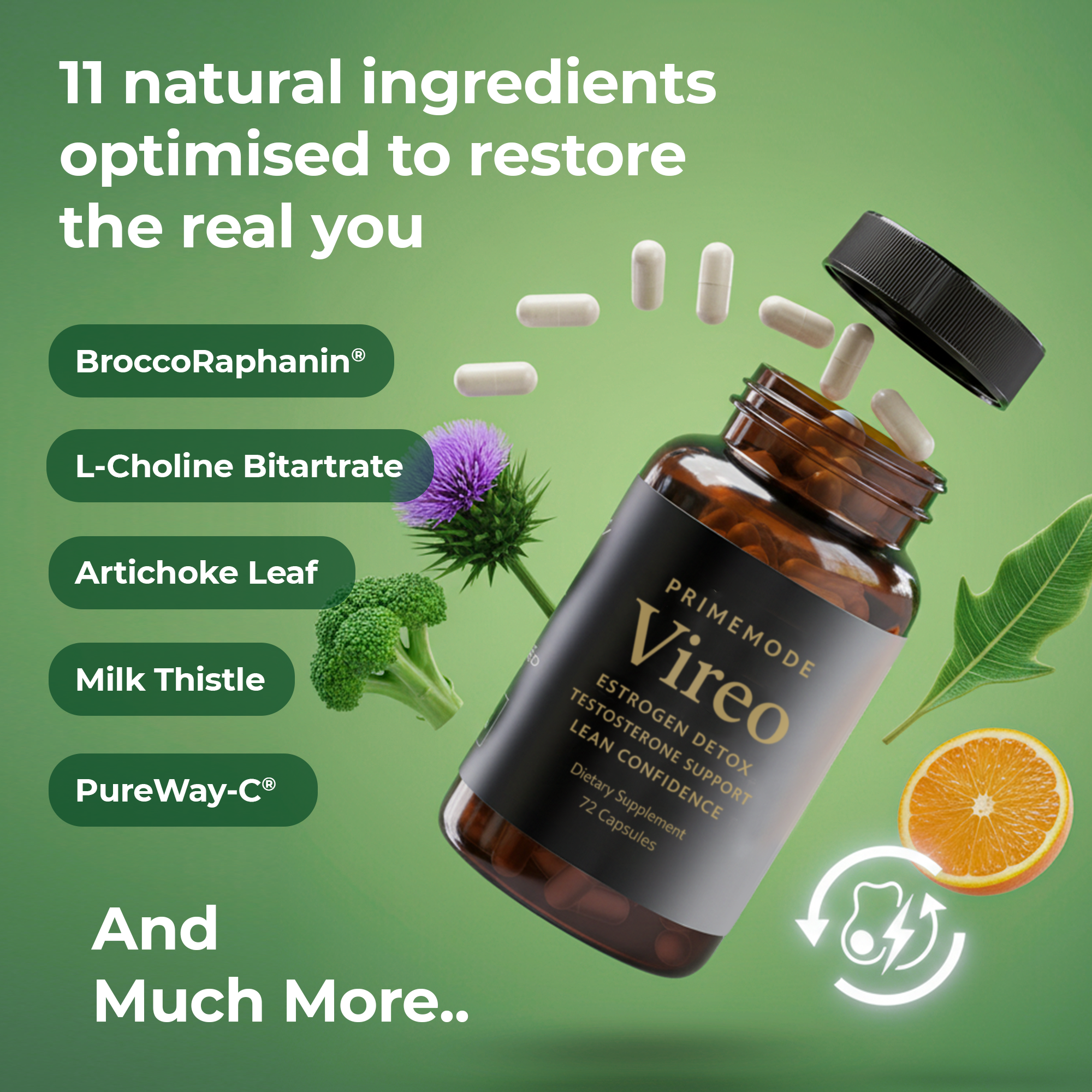 Vireo - The Complete Estrogen-Reset Formula For Men Who Refuse To Settle